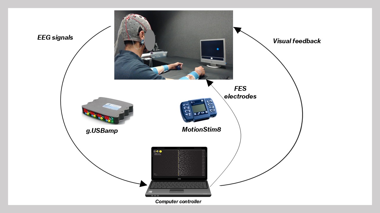 MI-BCI FES system overview