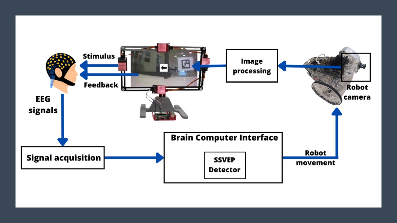 SSVEP-BCI system overview