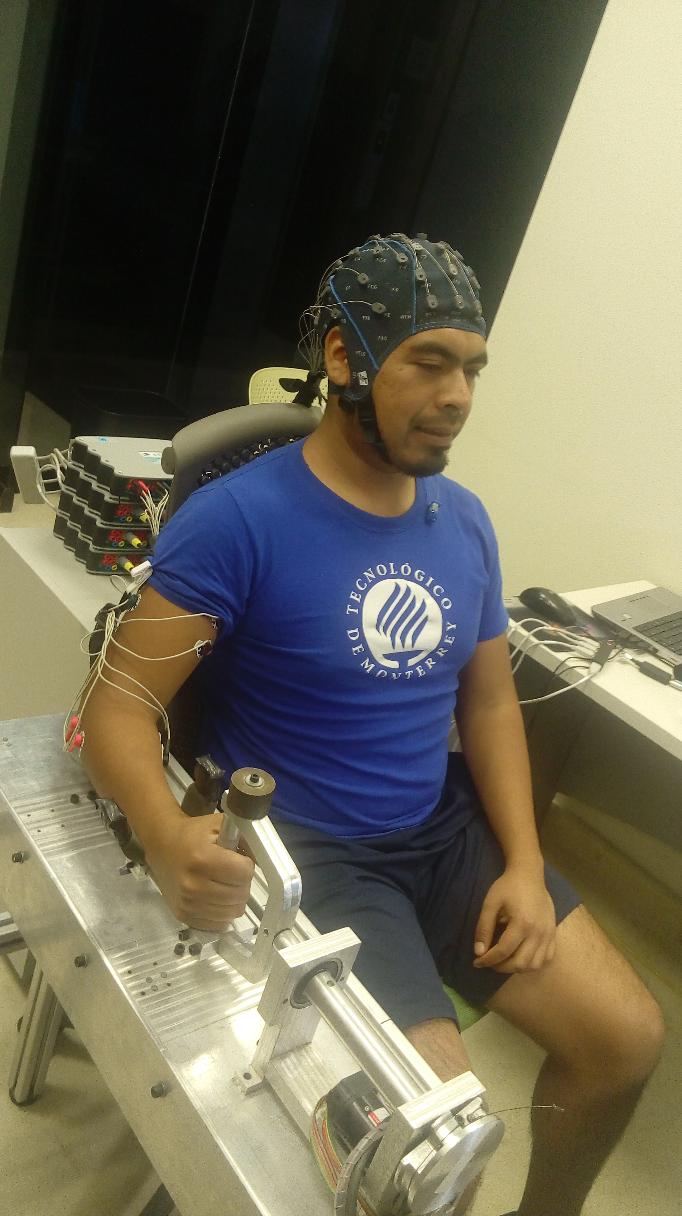 Brain signal analysis workflow