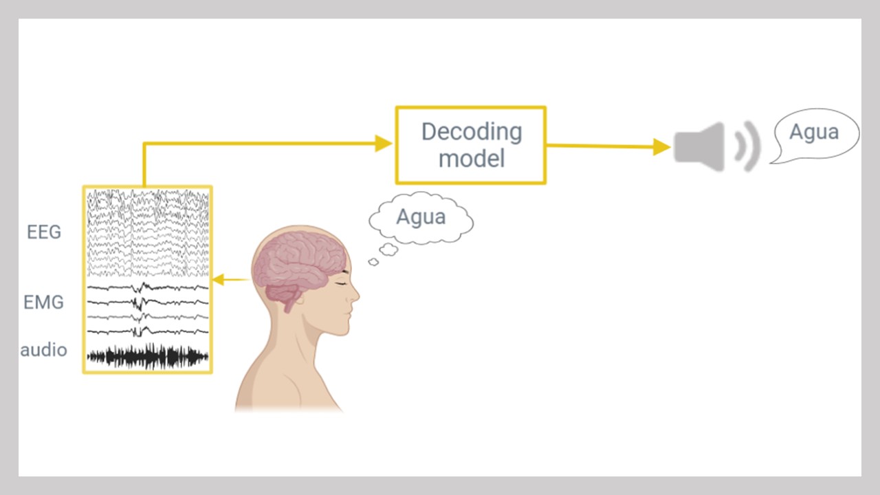 Machine learning classification