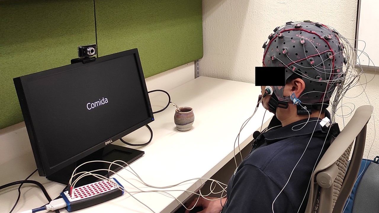 Experimental paradigm