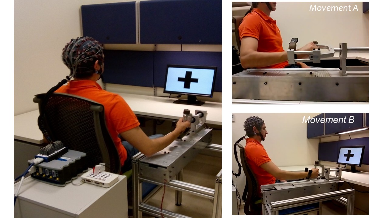 Patient interaction study